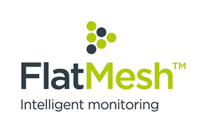 FlatMesh